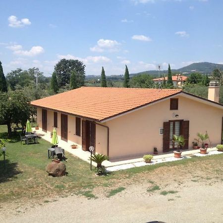 Agriturismo La Piantata بولسينا المظهر الخارجي الصورة
